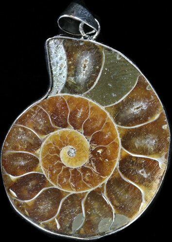 Fossil Ammonite Pendant - Million Years Old #37927